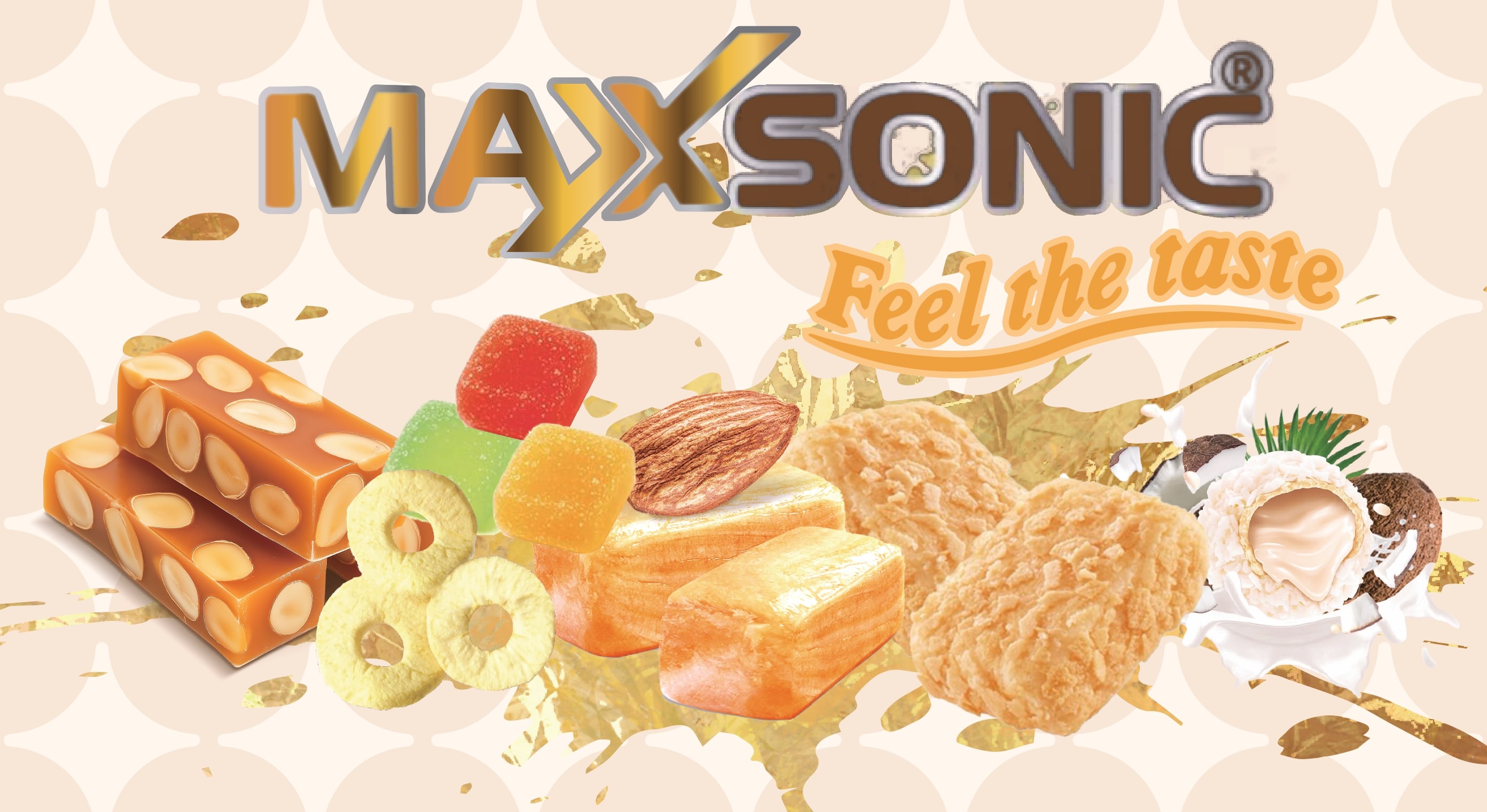 Maxsonic Banner